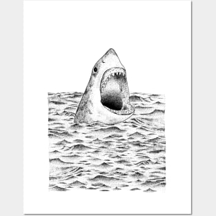 Shark Posters and Art